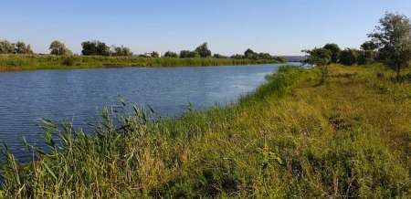 Летний микроджиг