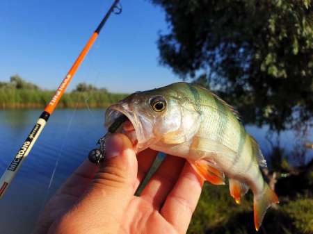 Летний микроджиг