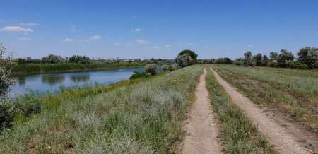 Летний микроджиг