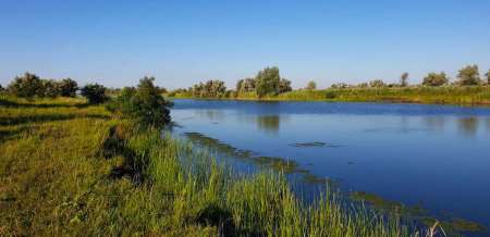 Летний микроджиг