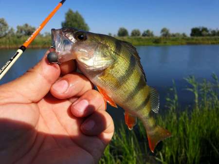 Летний микроджиг