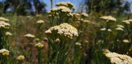 Летний микроджиг