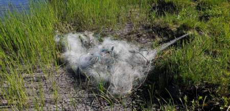 Микроджиг и ещё раз микроджиг