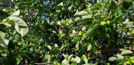 Микроджиг и ещё раз микроджиг