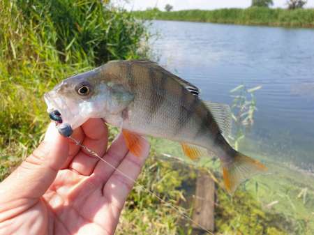 Микроджиг и ещё раз микроджиг