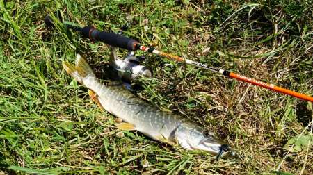 Микроджиг и ещё раз микроджиг