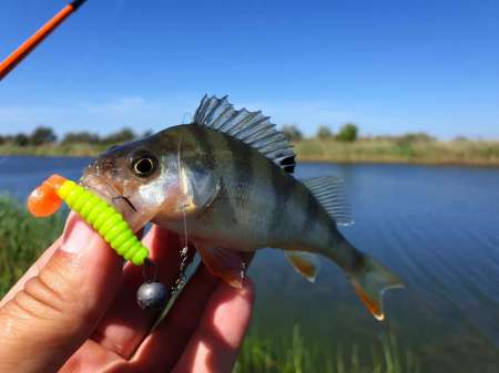 Микроджиг и ещё раз микроджиг