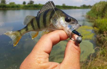 Микроджиг и ещё раз микроджиг