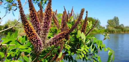 Микроджиг и ещё раз микроджиг