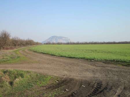 На Подкумке, или тест удочки «Король рыбалки»