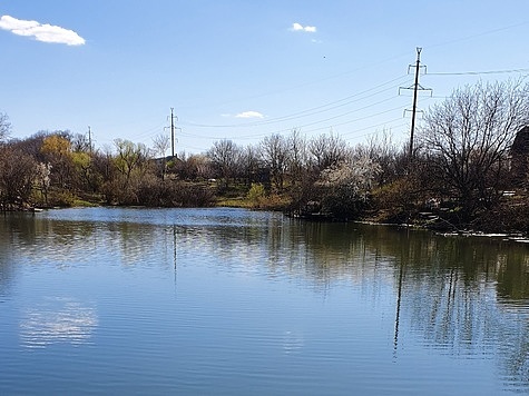 Нераскрытые секреты ловли на живца