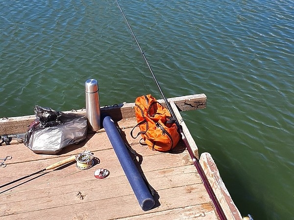 Нераскрытые секреты ловли на живца