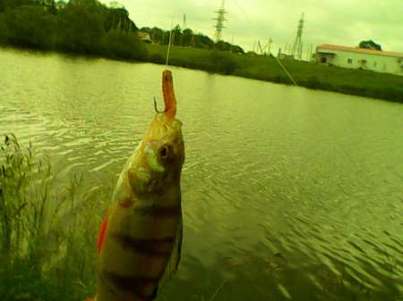 Обкатка нового спиннинга