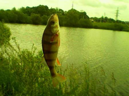 Обкатка нового спиннинга