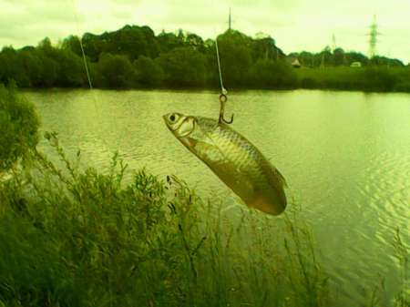 Обкатка нового спиннинга