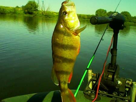 Открытие лодочного сезона на реке Быстрая Сосна