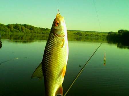 Открытие лодочного сезона на реке Быстрая Сосна