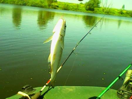 Открытие лодочного сезона на реке Быстрая Сосна