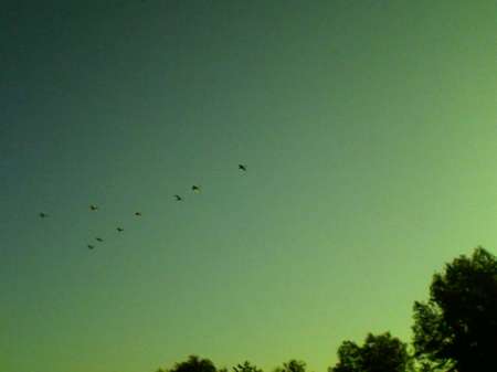 Открытие лодочного сезона на реке Быстрая Сосна