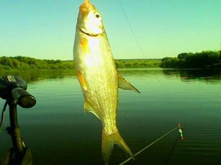 Открытие лодочного сезона на реке Быстрая Сосна