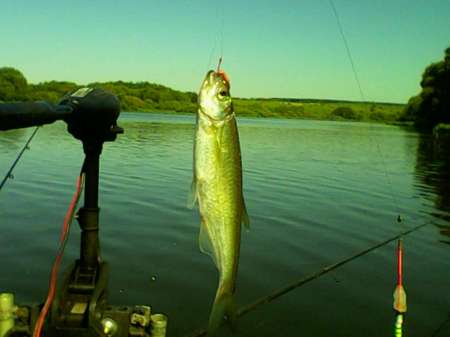 Открытие лодочного сезона на реке Быстрая Сосна