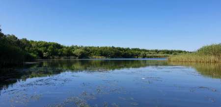 Открытие сезона лодочного джига