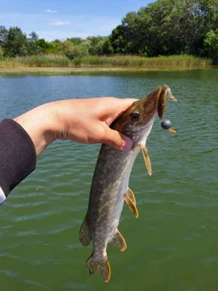 Открытие сезона лодочного джига