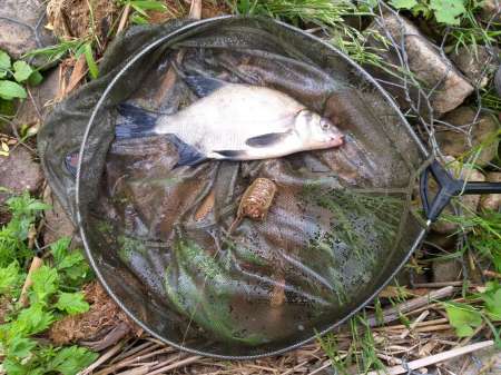 Оторвались на любимой реке. Вот это улов!
