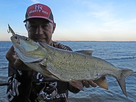 Подарки морского жереха