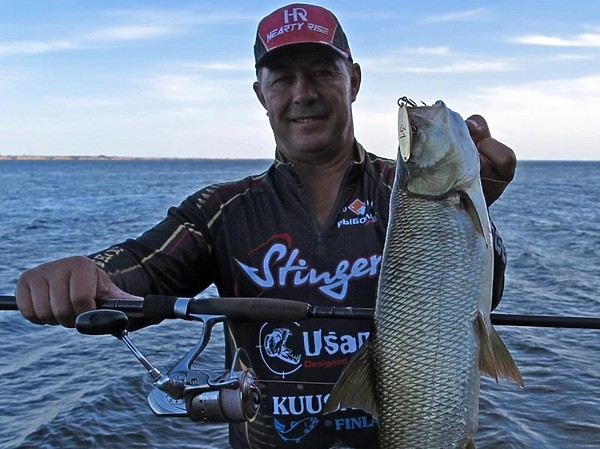 Подарки морского жереха