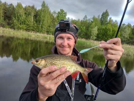 Поиск крупной краснопёрки на сбирулино Поиск крупной краснопёрки на сбирулино