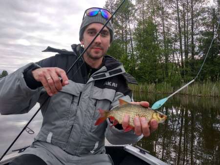 Поиск крупной краснопёрки на сбирулино Поиск крупной краснопёрки на сбирулино