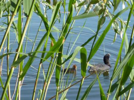 Позднее утро