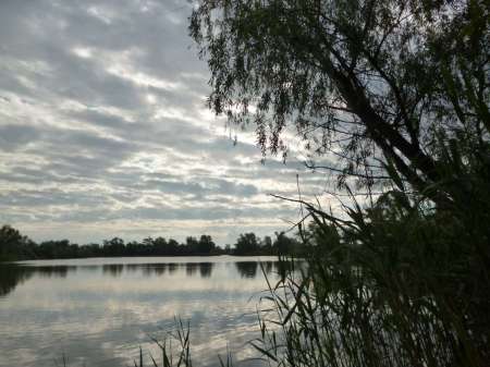 Позднее утро