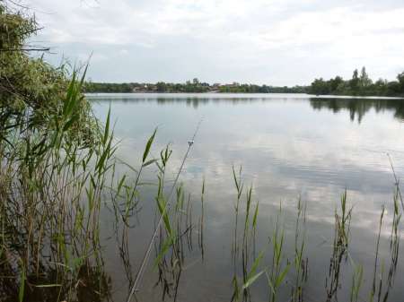 Позднее утро