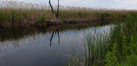 Разведка новых каналов