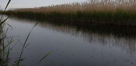 Разведка новых каналов