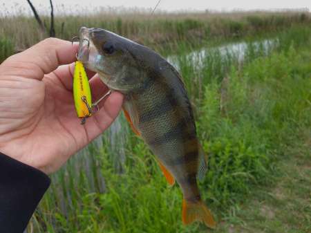 Разведка новых каналов