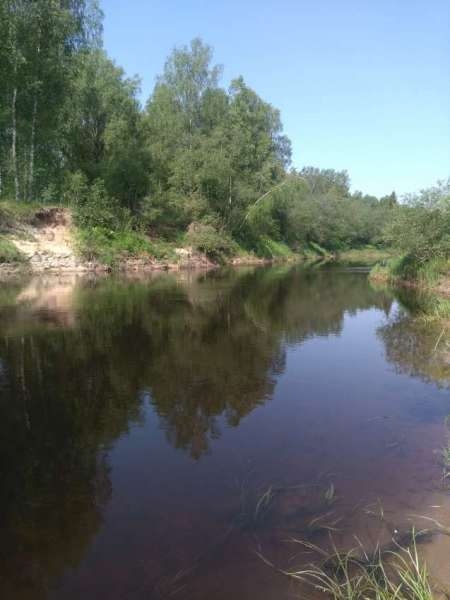 Разведка новых мест и отличные голавли