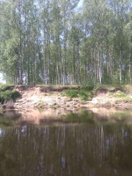 Разведка новых мест и отличные голавли