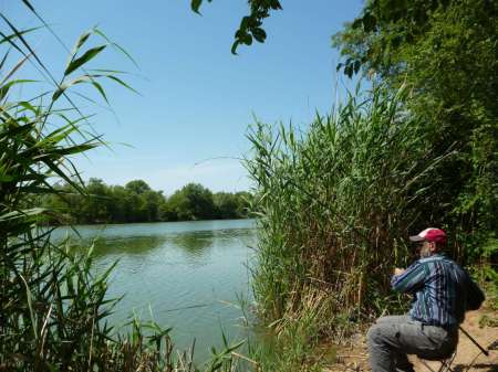 Реванш с сазаном Реванш с сазаном