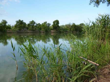 Реванш с сазаном Реванш с сазаном
