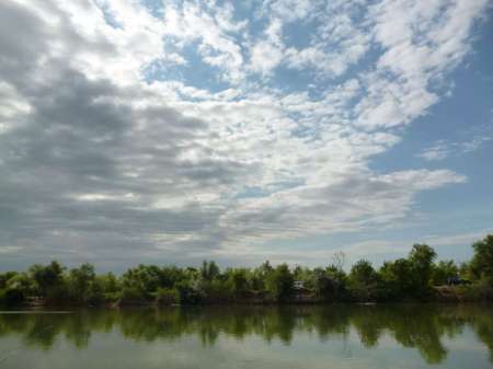 Реванш с сазаном Реванш с сазаном