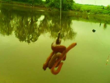 Рыбалка на пруду Слободка