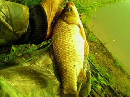 Рыбалка на пруду Слободка