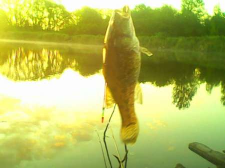 Рыбалка на пруду Слободка