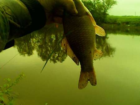 Рыбалка на пруду Слободка