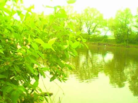 Рыбалка на пруду Слободка