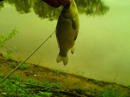 Рыбалка на пруду Слободка
