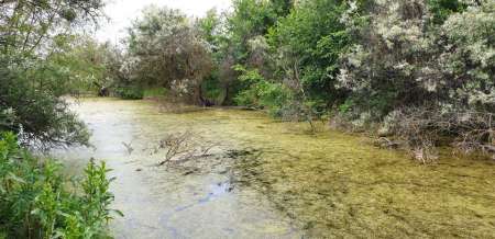 Рыбалка в июне не рыбалка...